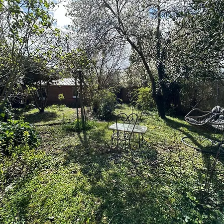 Maisonnette Avec Jardin * Angers